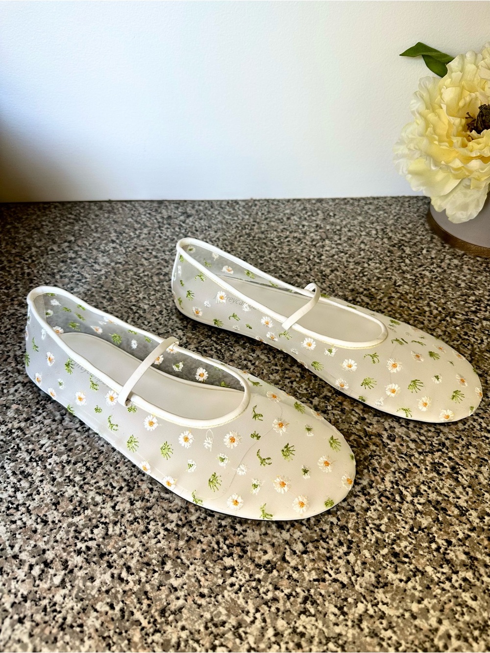NIB Jeffrey Campbell Dancer Embroidered Mesh Ballet Flats Size 9